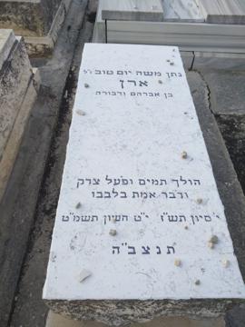 תמונת מצבה