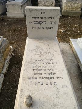 תמונת מצבה