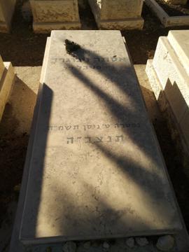 תמונת מצבה