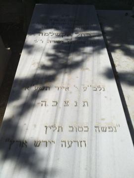 תמונת מצבה