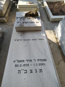 תמונת מצבה