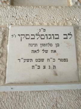 תמונת מצבה