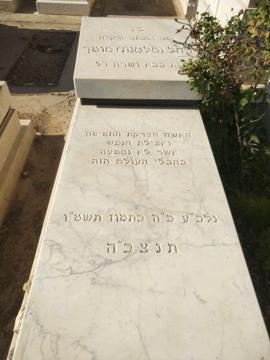 תמונת מצבה