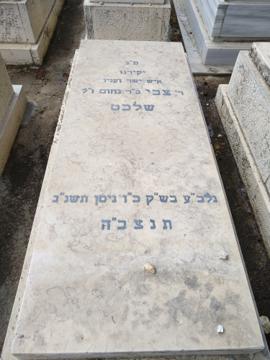 תמונת מצבה