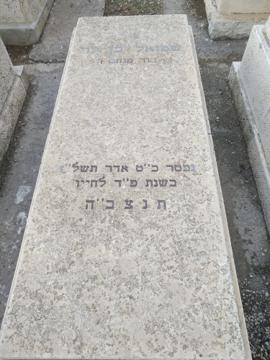 תמונת מצבה