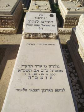 תמונת מצבה