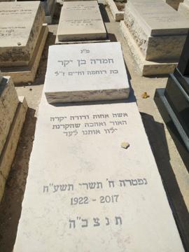 תמונת מצבה