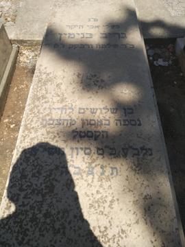 תמונת מצבה