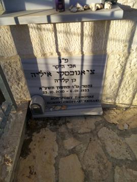 תמונת מצבה