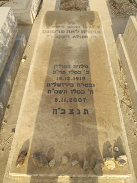תמונת מצבה