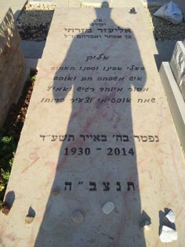 תמונת מצבה