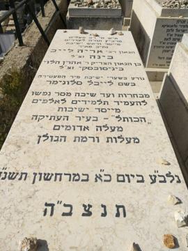 תמונת מצבה