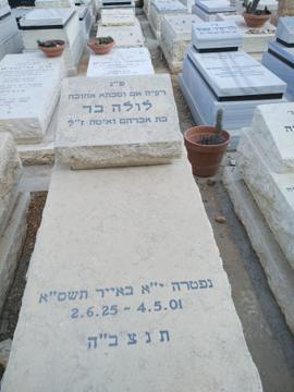 תמונת מצבה