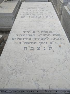 תמונת מצבה