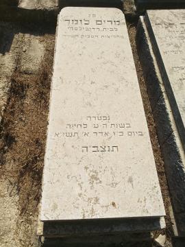 תמונת מצבה