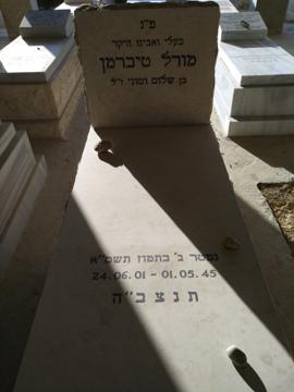 תמונת מצבה