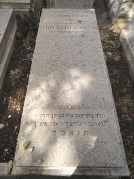 תמונת מצבה
