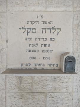 תמונת מצבה