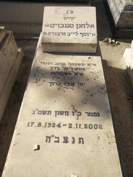 תמונת מצבה