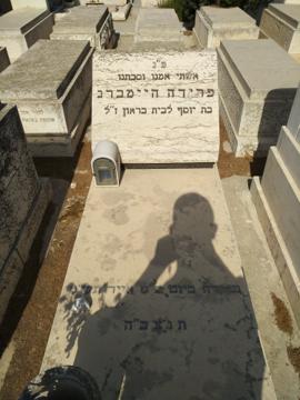 תמונת מצבה