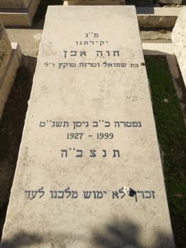 תמונת מצבה
