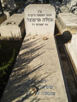 תמונת מצבה
