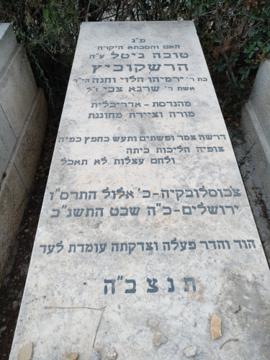 תמונת מצבה