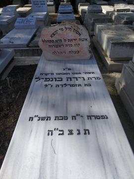 תמונת מצבה