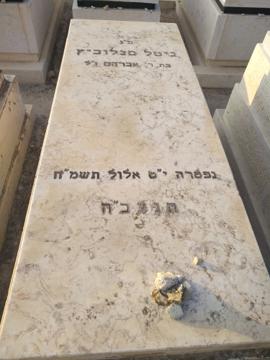 תמונת מצבה