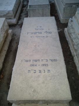 תמונת מצבה