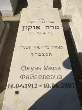 תמונת מצבה