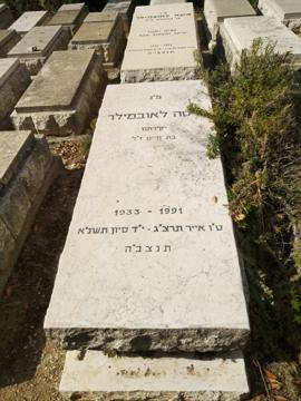 תמונת מצבה