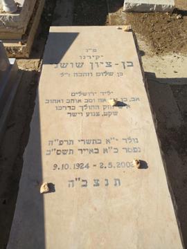 תמונת מצבה