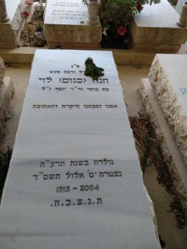 תמונת מצבה