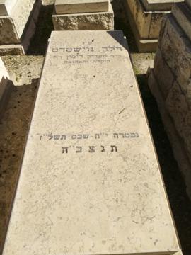 תמונת מצבה