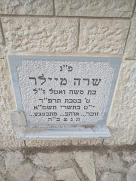 תמונת מצבה