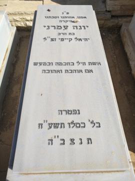 תמונת מצבה