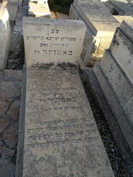 תמונת מצבה