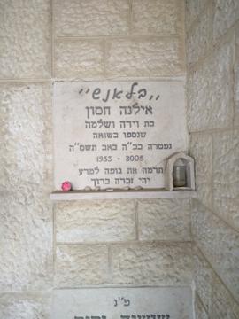 תמונת מצבה