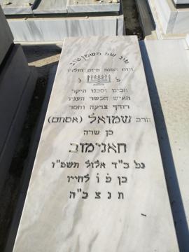 תמונת מצבה