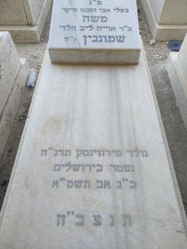 תמונת מצבה