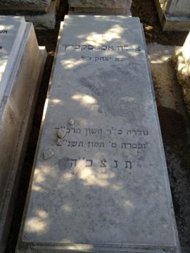 תמונת מצבה