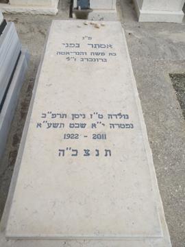 תמונת מצבה