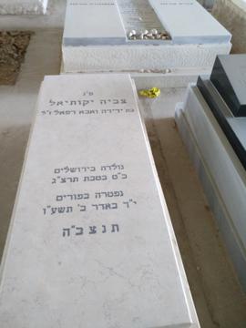 תמונת מצבה