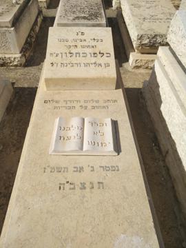 תמונת מצבה
