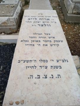 תמונת מצבה