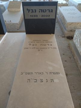 תמונת מצבה