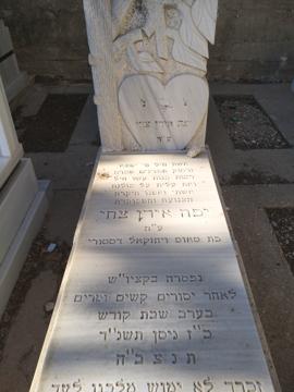 תמונת מצבה