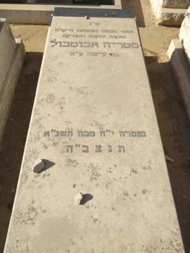 תמונת מצבה