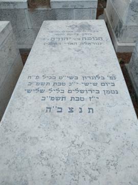 תמונת מצבה